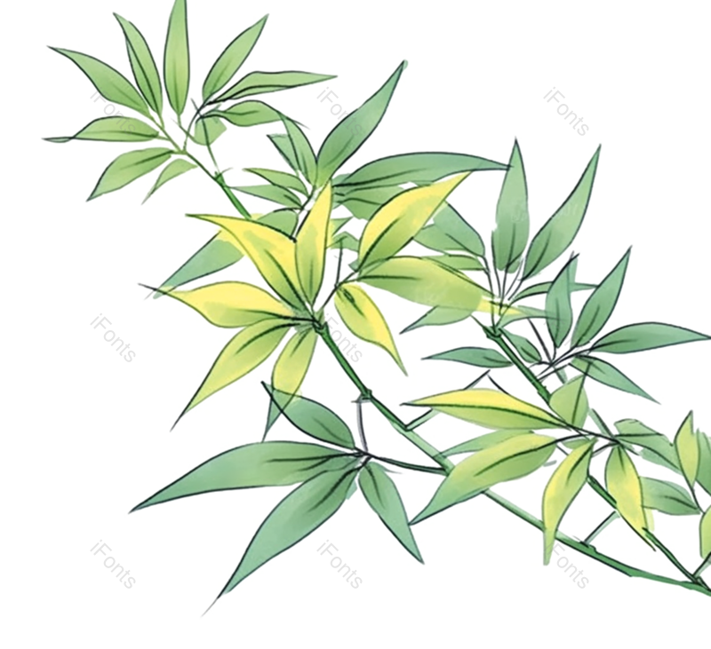 叶子图片,边框元素,装饰PNG,纹理免抠素材